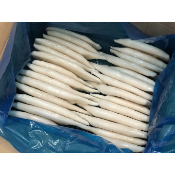 High Quality Frozen Squid Tube With Competitive Price